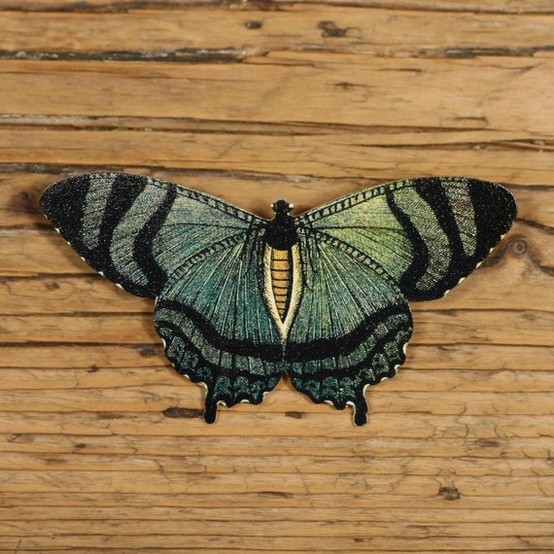 Photo:  Mountain Lake Butterfly Brooch